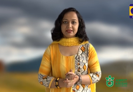 Amrit Krishi Shows That Chemical-Free Farming Is Possible