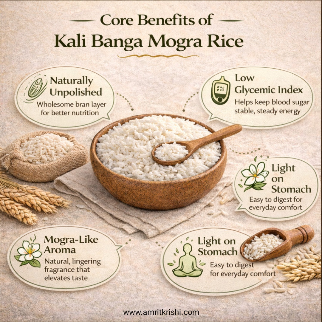 Kalibanga Ancient Basmati – Extra Long Grain