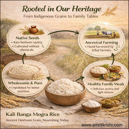 Kalibanga Ancient Basmati – Extra Long Grain