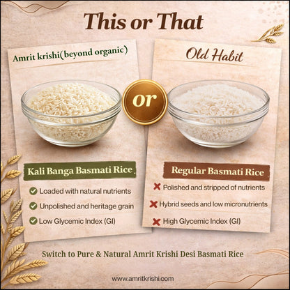 Kalibanga Ancient Basmati – Extra Long Grain