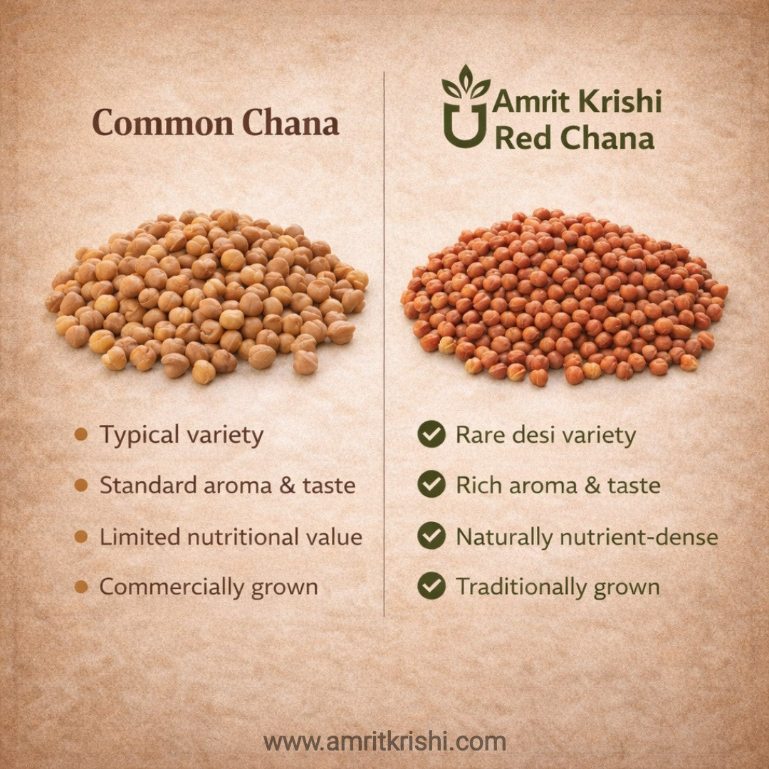 Red Chana (Chickpea) – The Protein Powerhouse