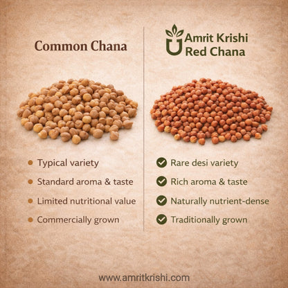 Red Chana (Chickpea) – The Protein Powerhouse